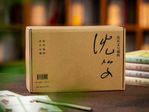 【100周年典藏礼盒版】《沈从文经典作品集》全4册丨他是汪曾祺的老师，鲁迅、老舍推崇一生，文字美如清泉，一生会想读无数遍 商品图6