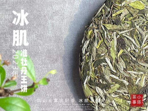 2023准牡丹王饼《冰肌》，等级史上新高，更加冰沁可人，甜香扑鼻 商品图3