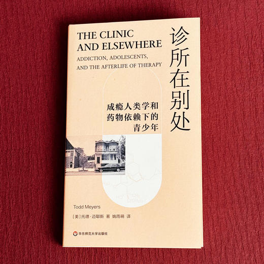 诊所在别处 成瘾人类学和药物依赖下的青少年 薄荷实验 托德·迈耶斯 商品图1