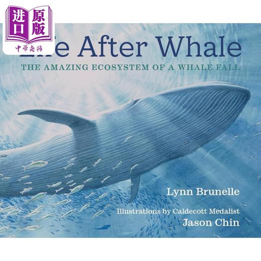 【中商原版】陈振盼 一鲸落万物生 Jason Chin Life After Whale 英文原版 儿童科普绘本 自然科学知识图画书 精装 进口图书 商品图0