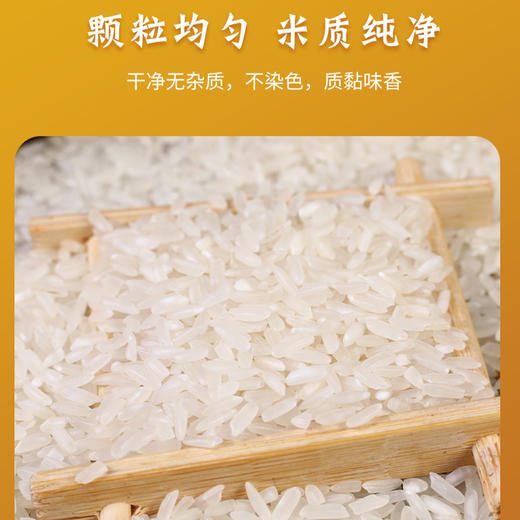 【严选】恩施黄四姐富硒米5kg/袋  （厂家直发） 商品图4