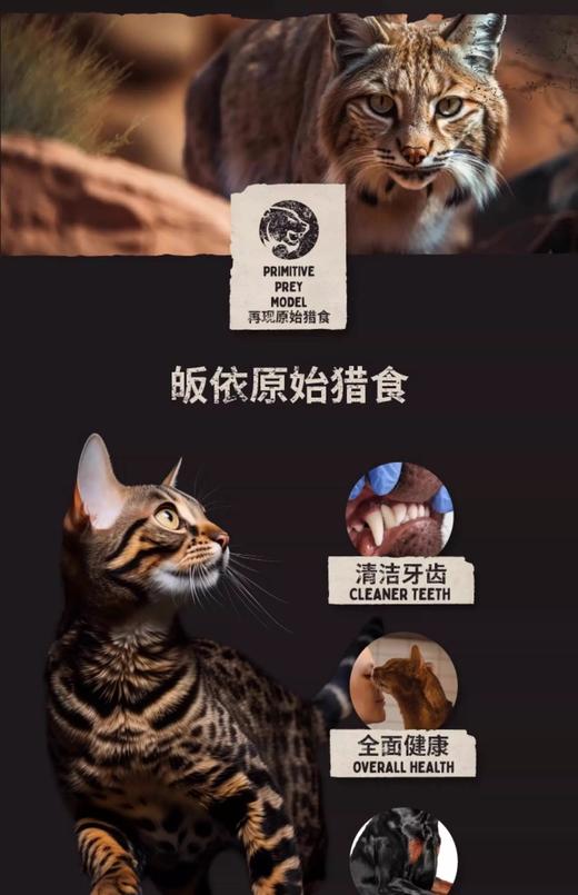 Calin Canin纯鸡肉（鸭肉）冻干 商品图2