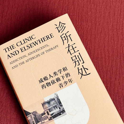 诊所在别处 成瘾人类学和药物依赖下的青少年 薄荷实验 托德·迈耶斯 商品图4
