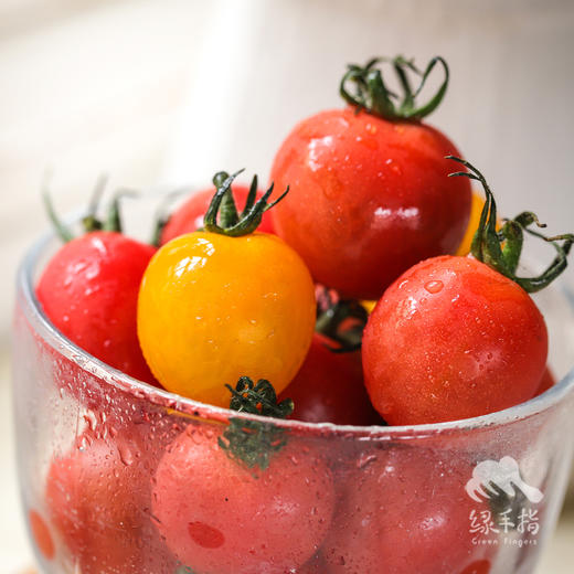 生态圣女果（湖北） | 合作生产 *Eco- tomato | Coprodution 商品图0