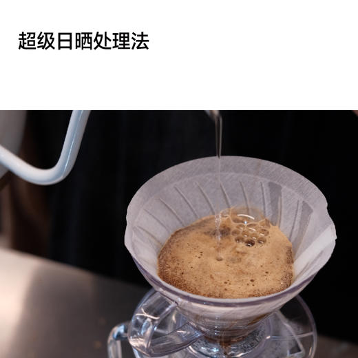 埃塞库克超级日晒G1 手冲咖啡豆 商品图2