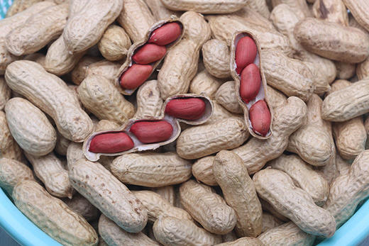 【严选】恩施黄四姐土家黄豆/黑豆/红豆/绿豆/红米花生 （厂家直发） 商品图11