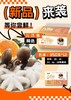 赵海10头小八爪鱼350克 商品缩略图3