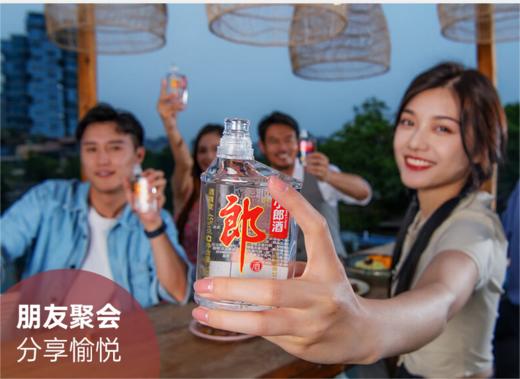 45° 小郎酒 酱兼香型白酒 100ml 商品图6