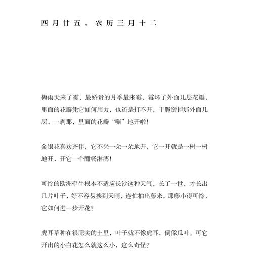 《一蔸雨水一蔸禾》 商品图11