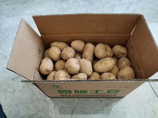 【严选】恩施高山小土豆2500g/箱   （厂家直发） 商品图5
