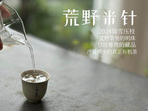 【白茶中的顶流】2024荒野米针真真是野性难驯，春白茶中的稀罕物，99%的茶友都未品尝过（50克装）！ 商品图10