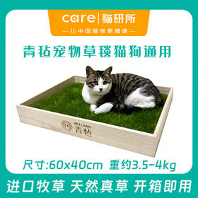 青毡 宠物通用草坪草毯 60cm×40cm/块 无需繁琐种植 开箱即用 猫狗乌龟等可用  偏远地区补30元运费