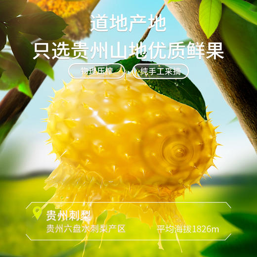 纯耕1.8l（60袋）量贩装刺梨原浆含维生素C超氧化物歧化酶SOD酶爱美上班族熬夜加班、学生都能喝 商品图2