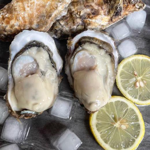 生蚝鲜活牡蛎新鲜特大海蛎子蒜蓉烧烤海鲜水产一箱装包邮 商品图3