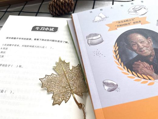 禾下乘凉梦 : 袁隆平传(全2册)附赠考点学习笔记本 商品图4