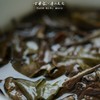 方守龙白茶山管护20周年纪念茶砖 福鼎白茶 [官方旗舰店正品直供] 商品缩略图3