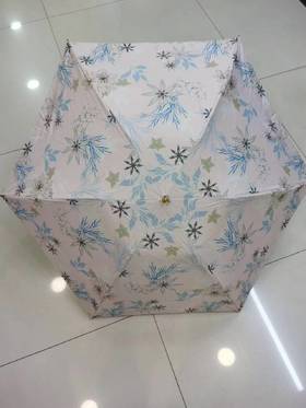 2F紫兰ALA晴雨两用伞