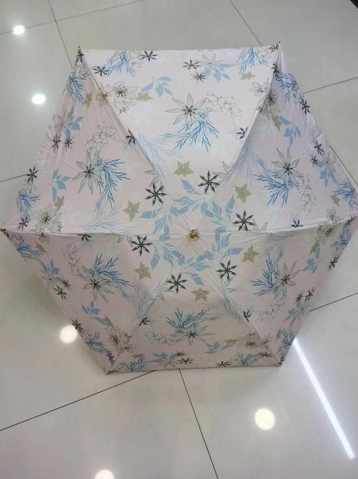 2F紫兰ALA晴雨两用伞 商品图0