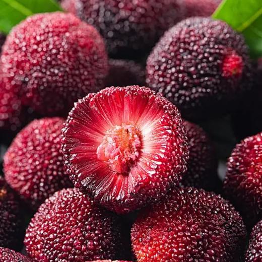 杨梅 约500g/桶  |水果 商品图1