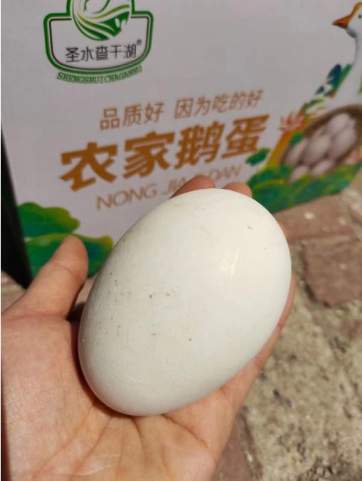 礼盒30枚鹅蛋 商品图3