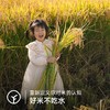 【有机】新疆沙漠乳香米300g 商品缩略图3