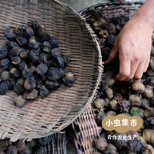 生态柴熏乌梅 200g/袋 | 合作农友生产，来自从化仙娘溪，生产者：阿文、南哥 &【公平贸易农人定价】 商品图10