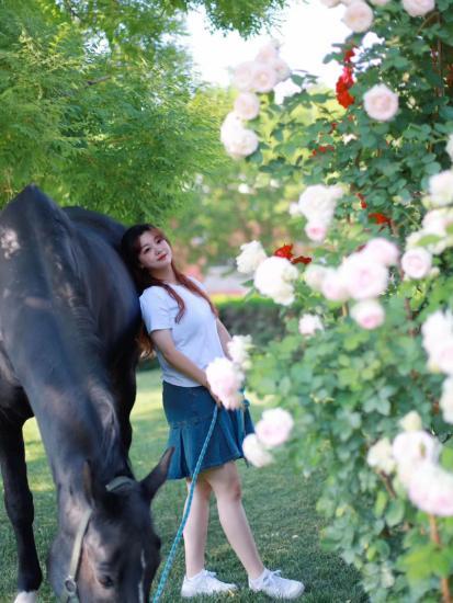 马匹合影 商品图7