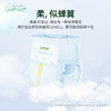 【一般贸易】比利时 Nateen那特恩Genious系列纸尿裤拉拉裤S/M/L/XL/XXL码薄男女通用学步裤尿不湿 商品缩略图5