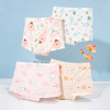 儿童内裤（4件装）ZB5DP041 商品缩略图3