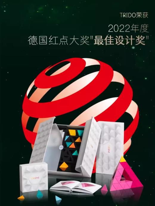 TRIDO磁力艺术积木初阶版 几何磁性变形儿童益智玩具男女孩 商品图4