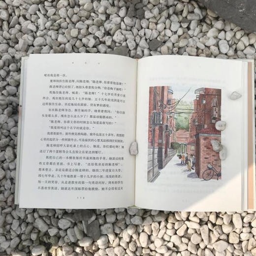 黄麦地（精装版） 商品图5