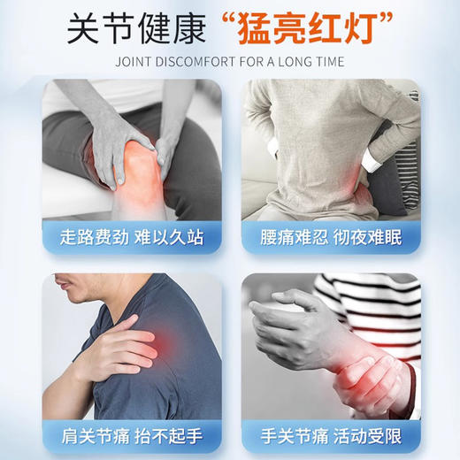 EZZ 氨糖软骨素   60粒/瓶 商品图2