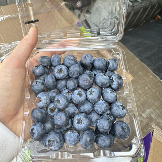 脆甜好吃的蓝莓 商品图1