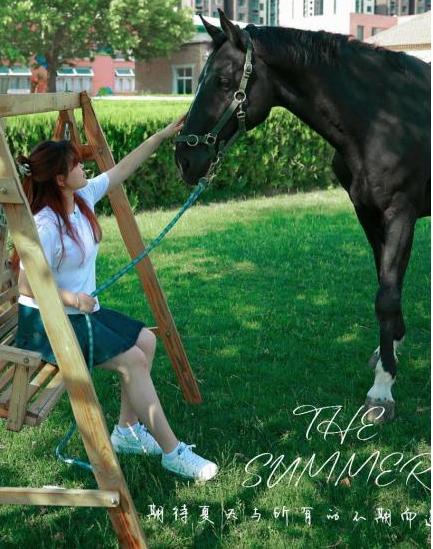 马匹合影 商品图6