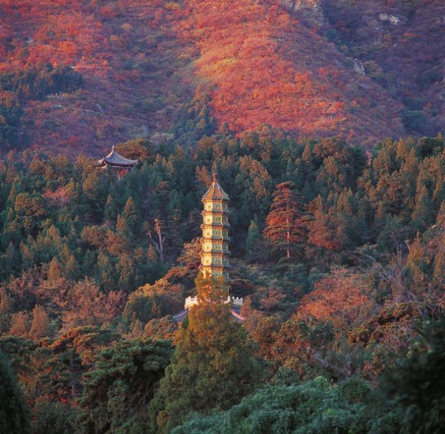 一起爬北京香山，在爬山中认识小哥哥小姐姐（北京活动）