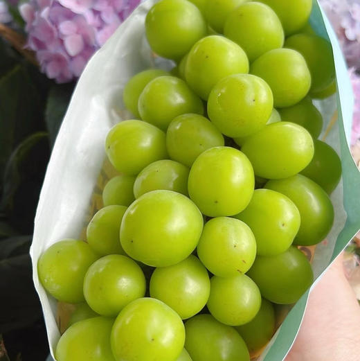 云南日光晴王阳光玫瑰香印青提顺丰冷链包邮下单从云南发货 商品图2