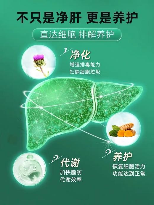 EZZ 护肝片 60粒/瓶 商品图4