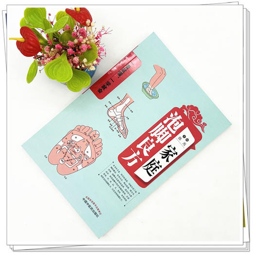 家庭泡脚良方 陈光 主编 中国中医药出版社 一看就懂 一学就会 中医 书籍 商品图2