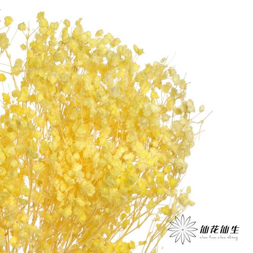 永生花材 | 梦幻星黄 商品图2