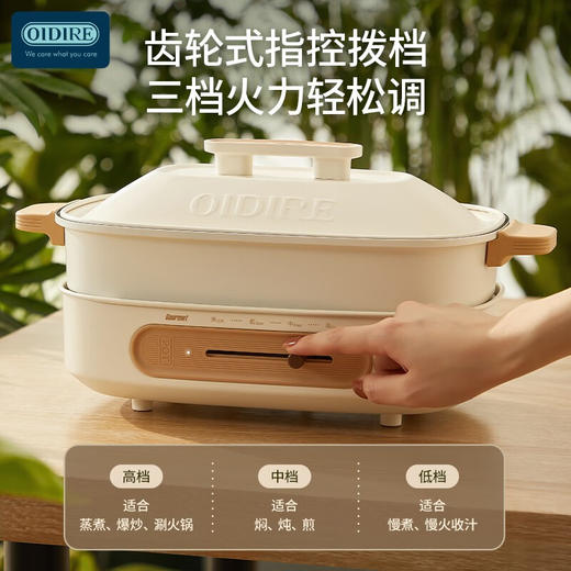 OIDIRE多功能料理锅ODI-DGN02
 商品图7