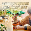乐高积木L76433哈利波特系列曼德拉草 商品缩略图2