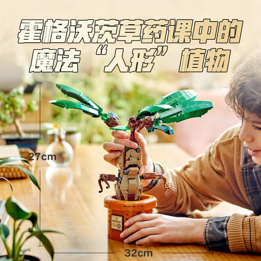 乐高积木L76433哈利波特系列曼德拉草 商品图2