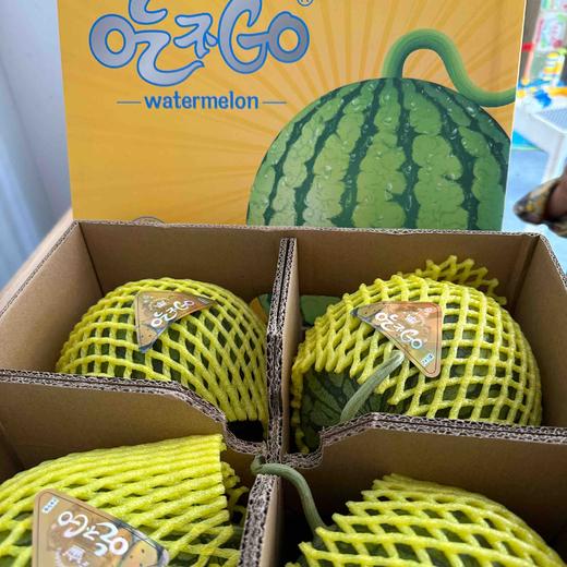 💋黄瓤🍦西瓜、吃起来 晶黄色的果肉 清爽解渴💥甘甜多汁💥口感脆甜💥 声明：快递损坏不赔哈，请慎拍！4只/箱 约14斤 商品图11