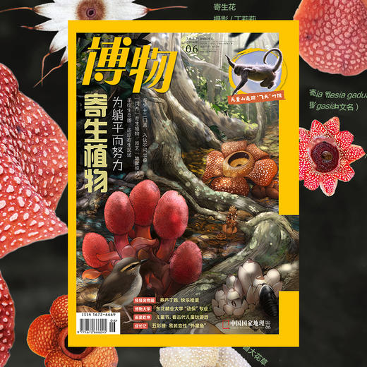 《博物》202406 寄生植物  无量山追踪印支灰叶猴  东北林业大学动保专业  宠物芦丁鸡 商品图1