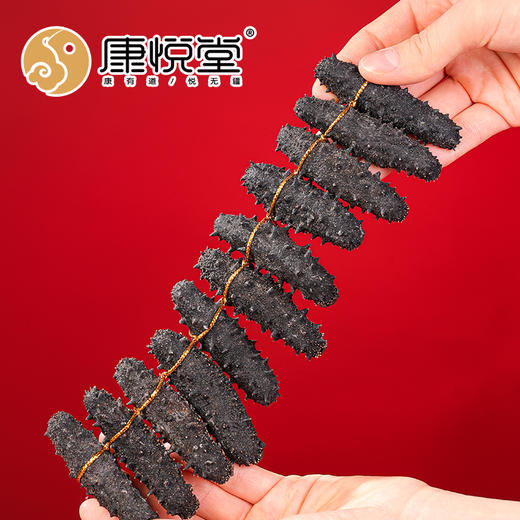 【康悦堂·悦品辽渤参】大连淡干海参 春季滋补 高泡发率  30--150头/斤  免费包邮    免费代泡发 商品图2