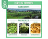 巧娘倍儿下饭涪陵榨菜/1份（53g*10包）生产日期：26年1月 商品缩略图3