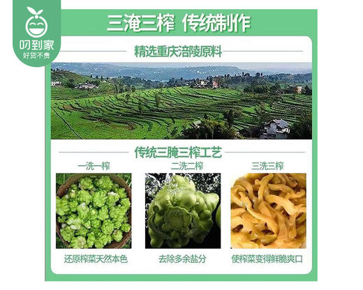 巧娘倍儿下饭涪陵榨菜/1份（53g*10包）生产日期：26年1月 商品图3