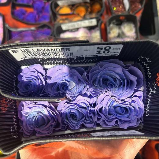 厄瓜多尔进口染色BLUE LAVANDER蓝心薰衣草玫瑰花10支 商品图4