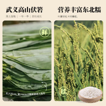 诸老大速冻豆沙粽100g*5只 洗沙甜粽中华老字号嘉兴产粽子早餐粽 商品图3