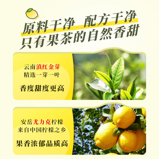 【新品】澜沧古茶2024年小金柠滇红柠檬红茶单颗盒装12g 商品图1